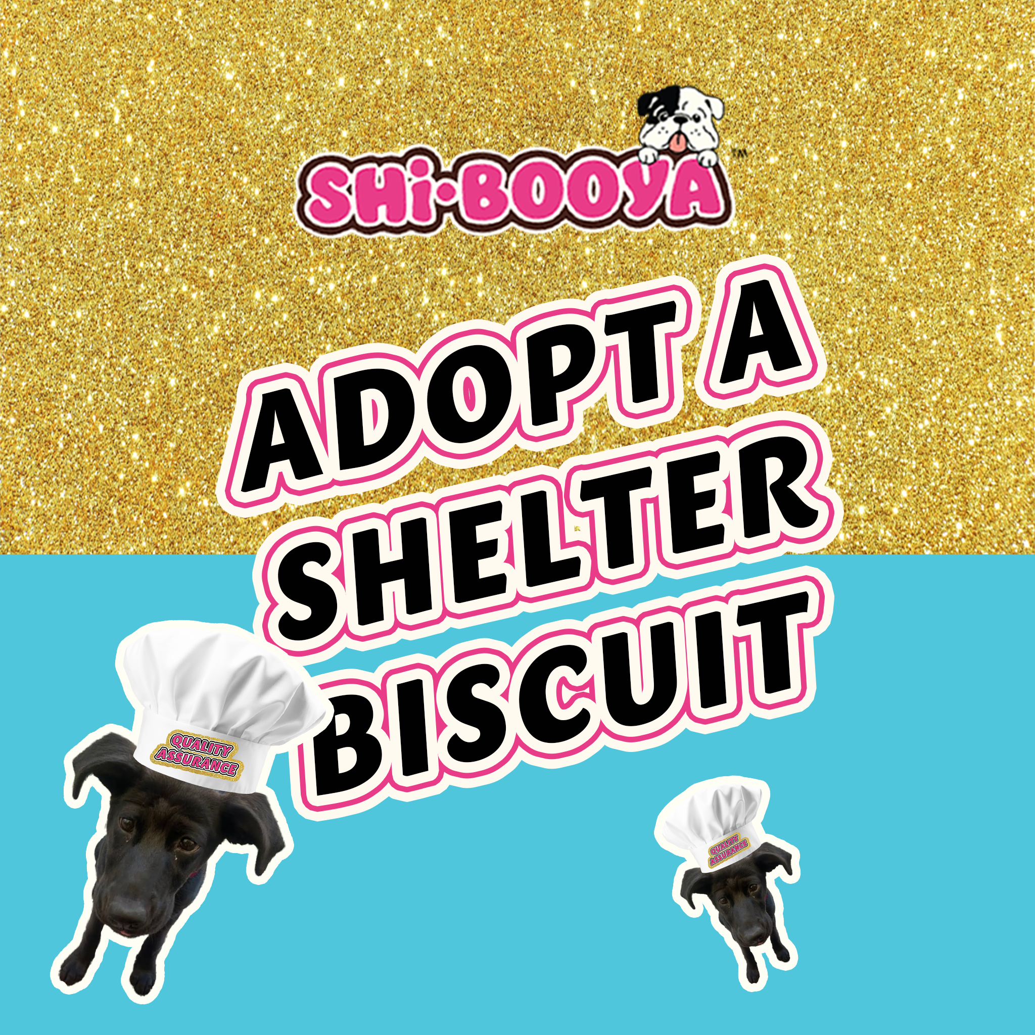 Adopt a Shelter Biscuit this Weekend!