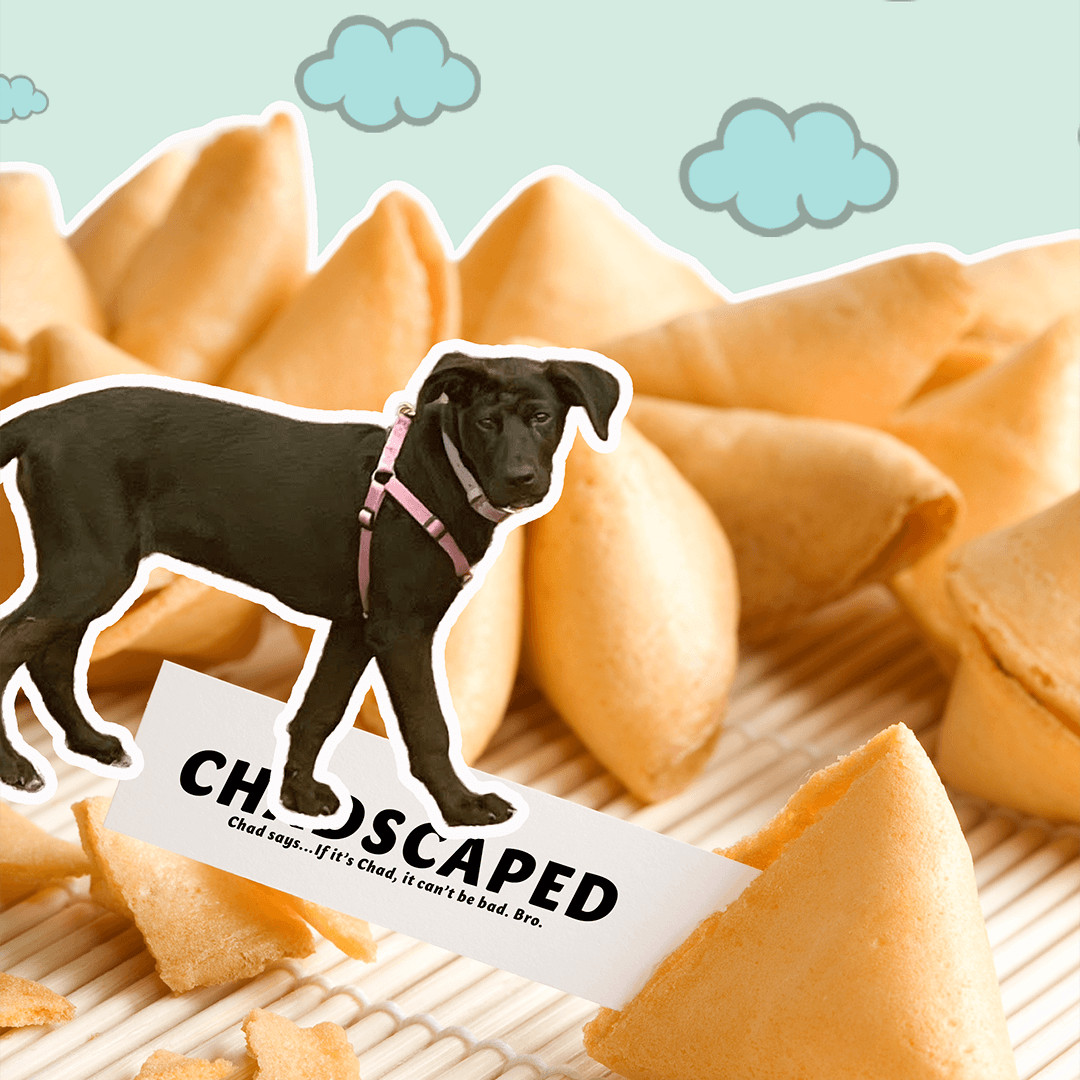 chadscaped_27355a28-6b17-4ad1-922f-3673a4894d31.png