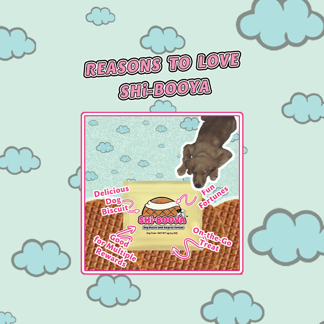 reasons_to_love_shibooya_mobile_6eb784e8-4a28-4bc1-adce-fa7eb929b1cc.png