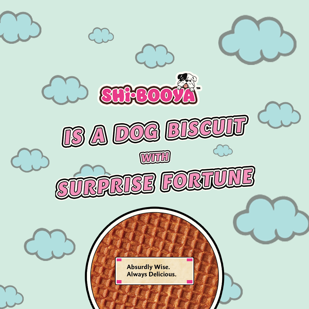 shi-booya_is_a_dog_biscuit_mobile_5_762fcc76-8d88-4125-9a5e-fd9cc94c944a.png