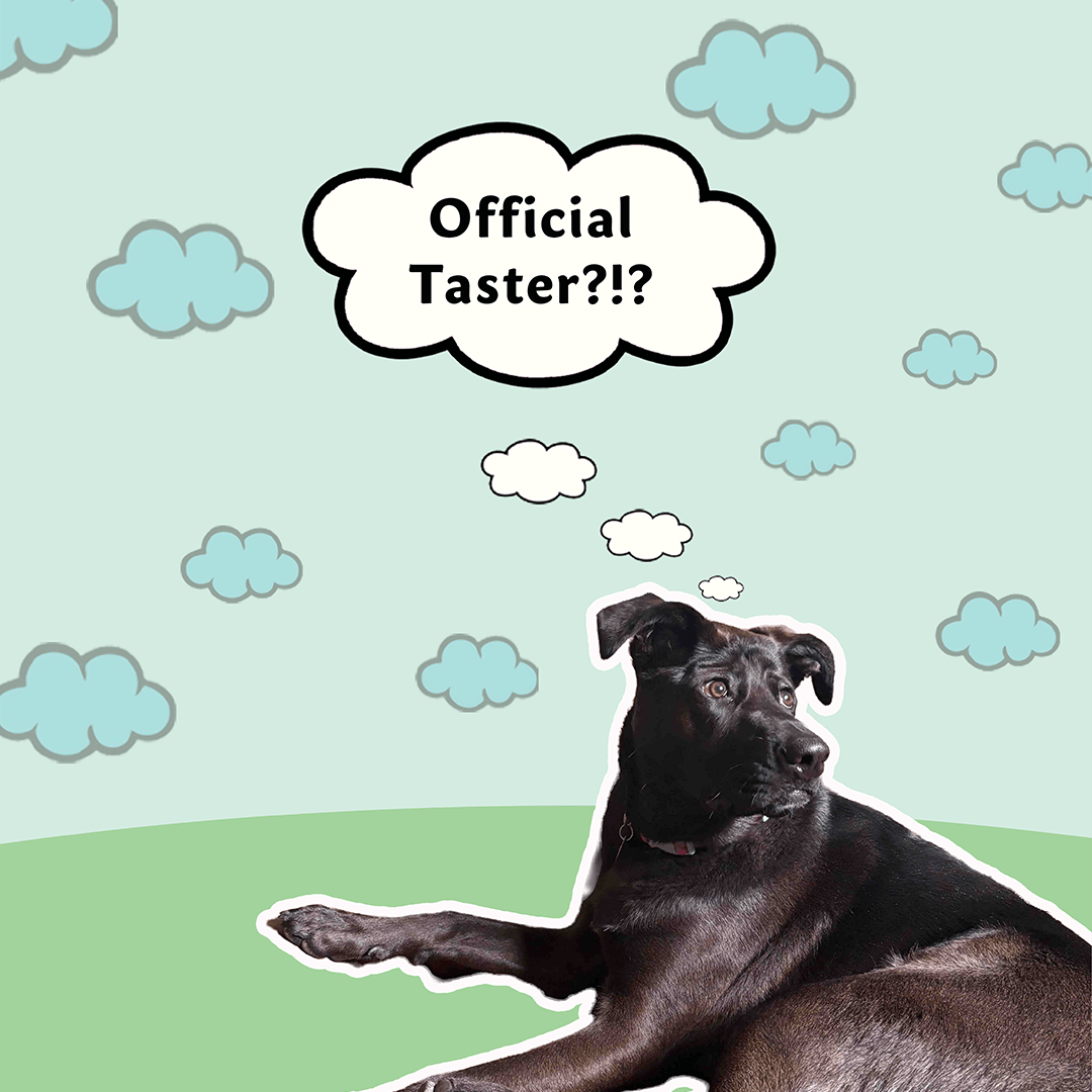 then_came_a_dog_1.png