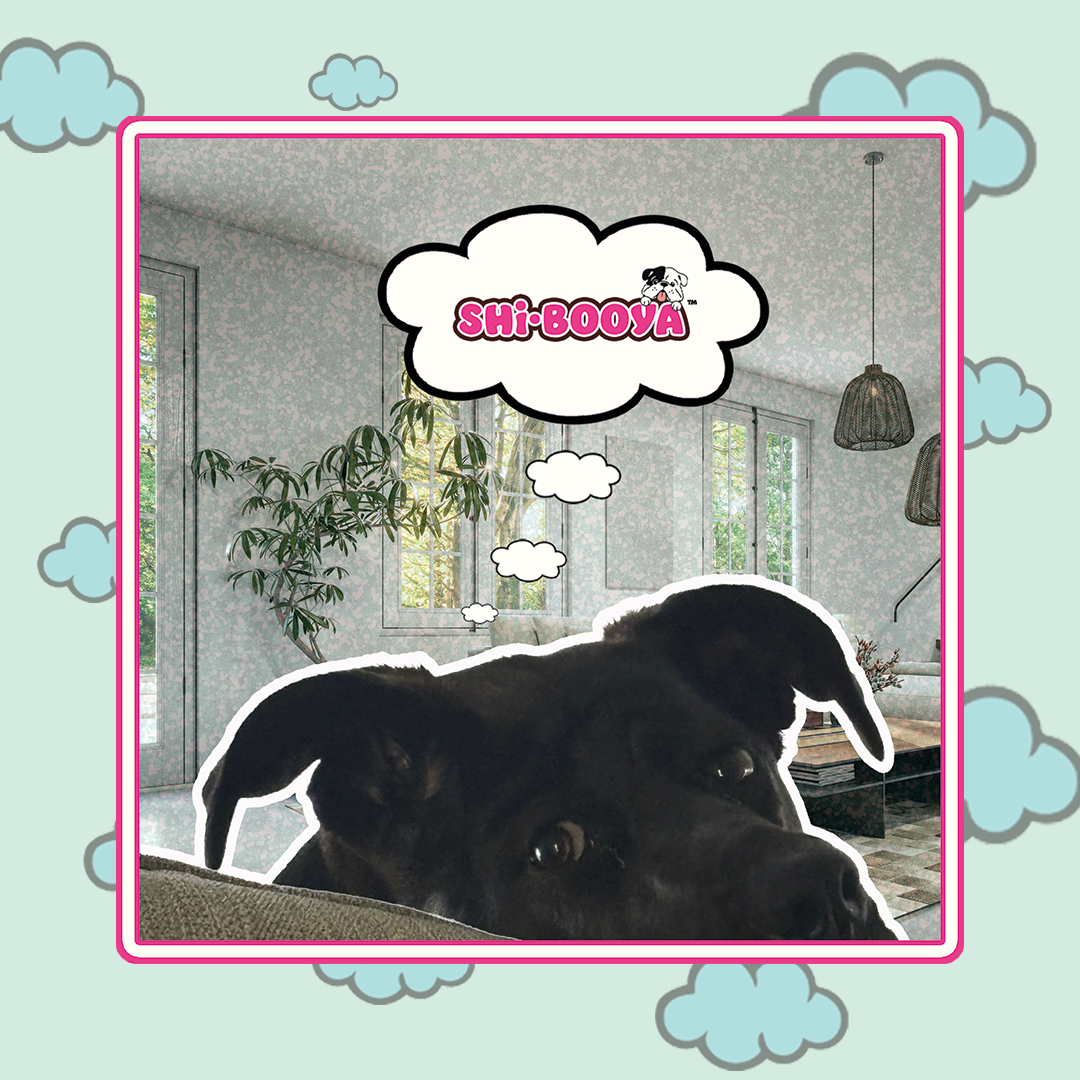 website_banner_image_shi-booya_i_wonder_if.._mobile_2b4aeb7b-f1fc-45ed-a7aa-8f8a2c6e7759.png