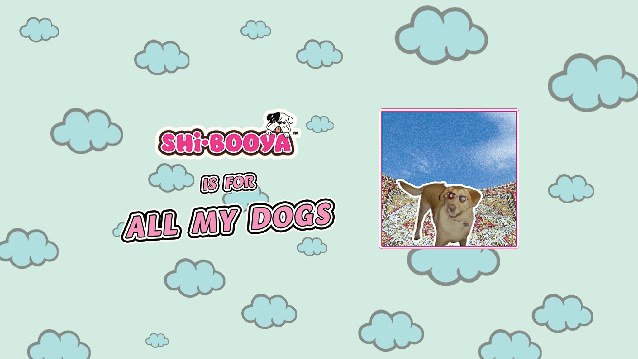 website_banner_image_shi-booya_is_for_all_my_dogs_wide2_1.png